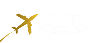 Avi8 Flight Academy Logo